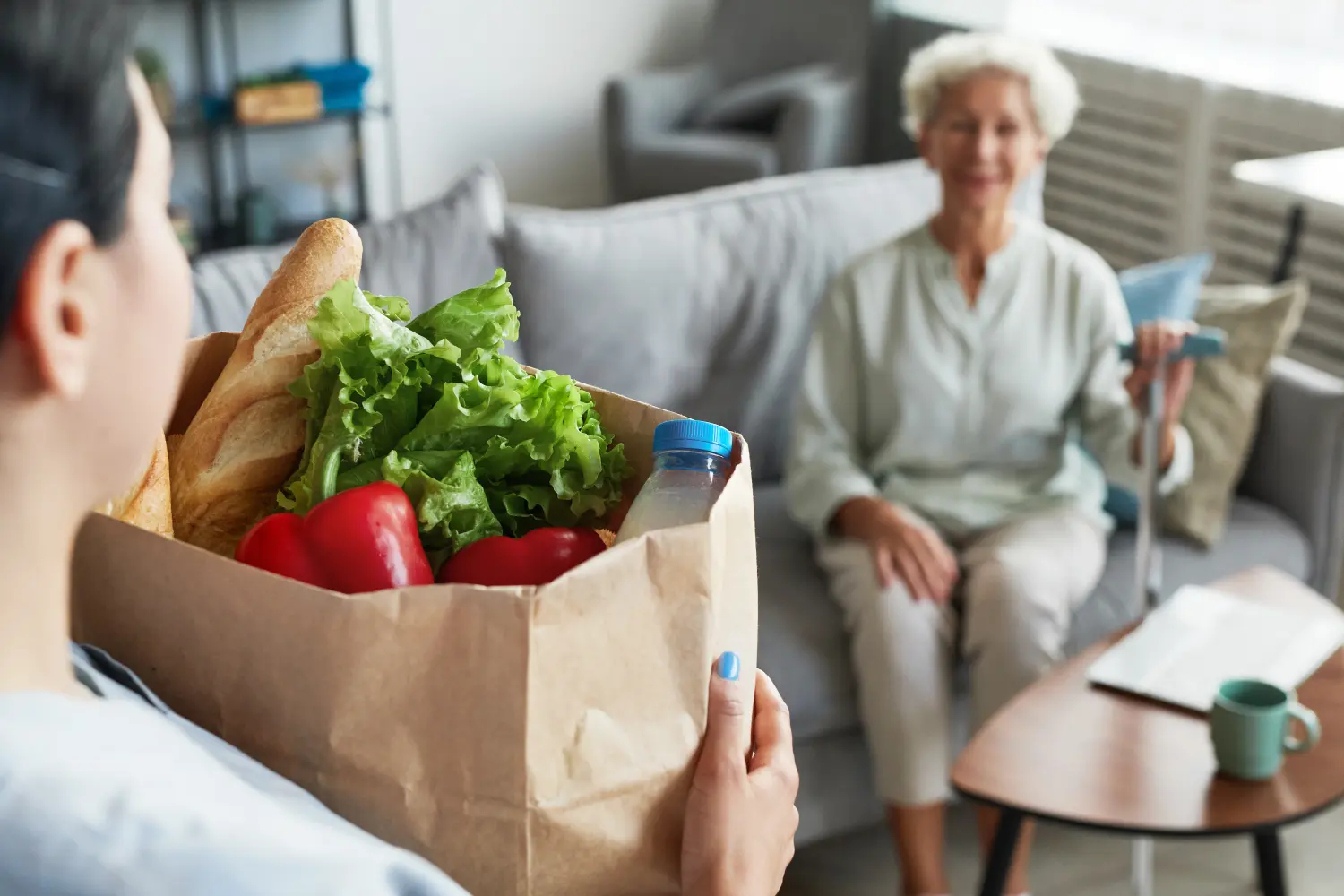 Porträt einer Pflegerin, die einer älteren Frau Lebensmittel bringt, Freisteller